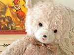 br-a00985 Rose Teddy Ours ベージュロゼテディウルス ¥ 12,500