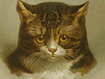 ot-a01042 Kitten Christmas Chromo キトゥンクリスマスクロモ ¥ 2,000