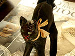 br-a02223 Steiff シュバルツカッツェン ¥ 20,600 