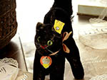 fr-a03726 Steiff  シュバルツカッツェン ¥  24,800